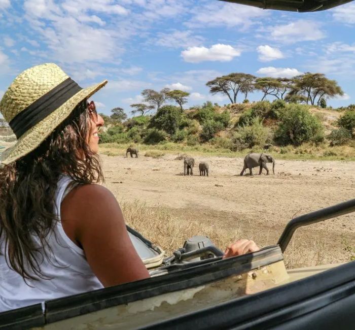 6 Days Ultimate Tanzania Safari