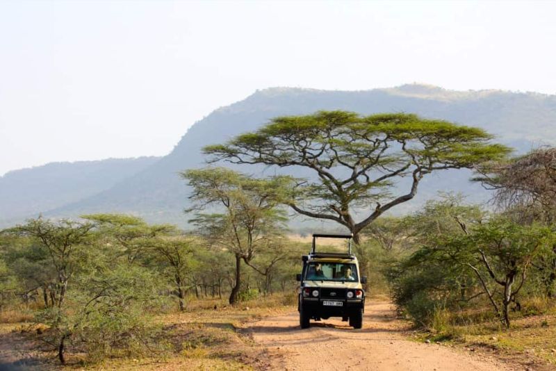 7 Days Essence Of Tanzania Safari