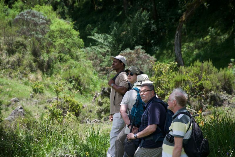 Arusha Day Trips