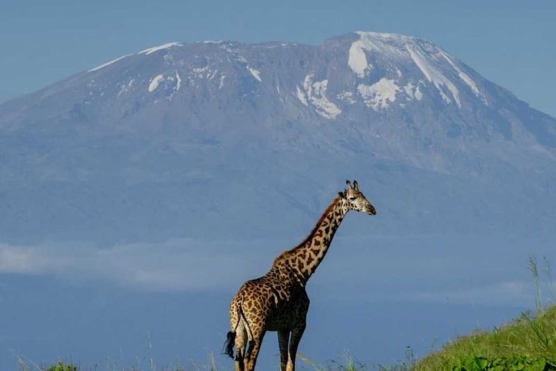 Arusha National Park- Tanzania Safaris