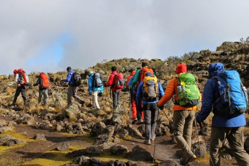 Best Time to Climb Kilimanjaro
