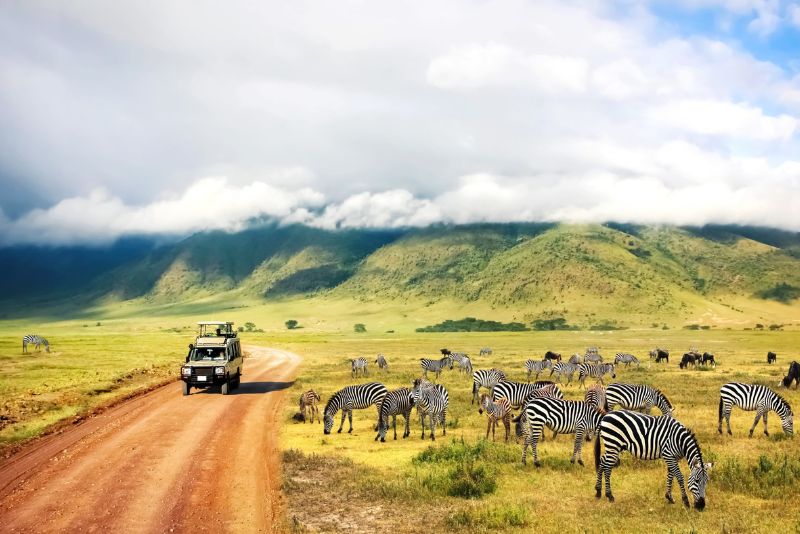 Best Time to Travel Tanzania