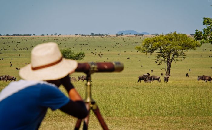 Best Time to Travel Tanzania