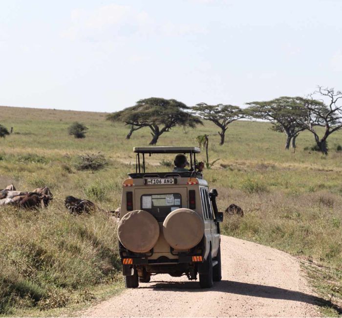 Tanzania camping safari