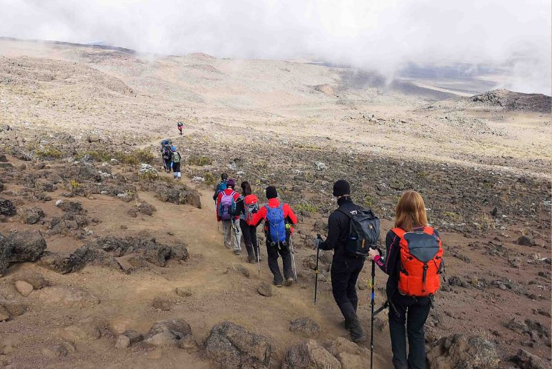 kilimanjaro climb and safari packages FAQs