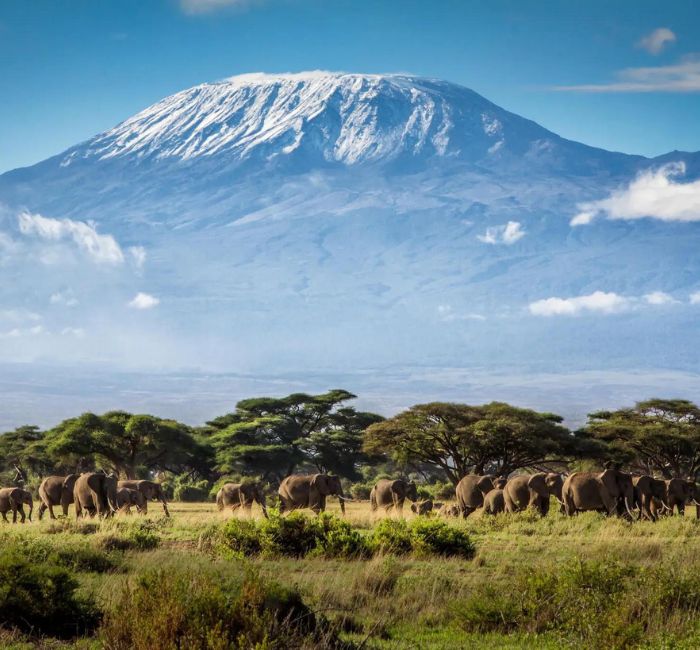 Kilimanjaro National Park