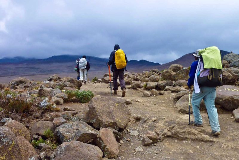 Mount Kilimanjaro Climbing