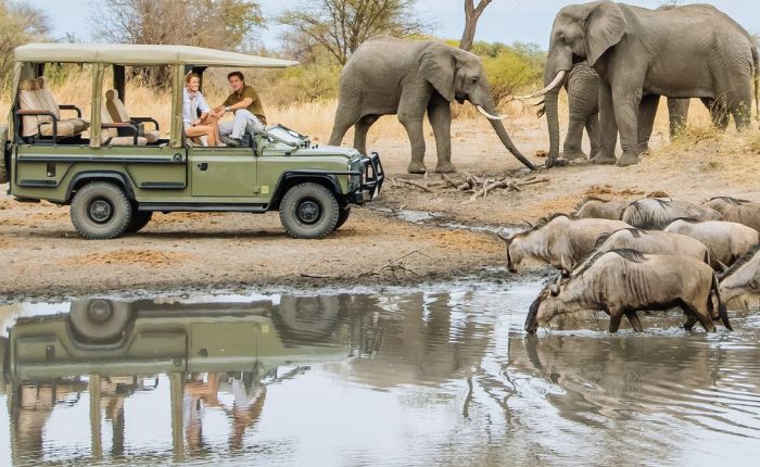 Lake Manyara National Park Safari