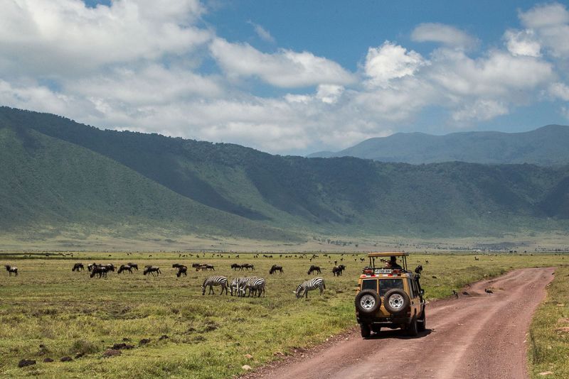 Ngorongoro Crater Safari