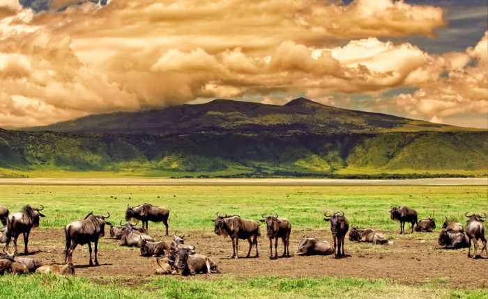 Ngorongoro Crater