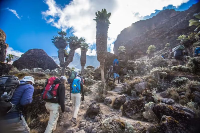 6 Days Machame Route