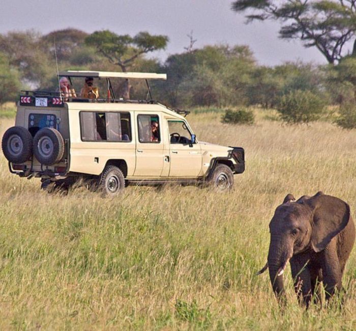 Tanzania Safari Cost