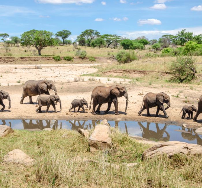 Tarangire National Park